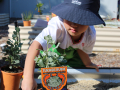 planting-room-6-1